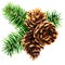 Pine branch with three brown cones, Christmas decoration, New Year composition, decor element, isolated, hand drawn