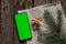 Pine branch twisted into a roll dollars and a phone with a green screen on a wooden table, christmas decoration