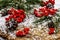 Pine bumps and branches with red rowan on an old snow-covered table