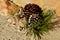 Pine cone African beaded Christmas decorations on the beach Christmas in July