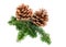 Pine cone Christmas decoration element