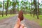 Pine cone on hand in pine tree garden,cedar cone