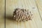 Pine cone on a light wooden background