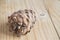 Pine cone on a light wooden background