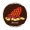 Pine cone with nuts. Hand sketched pine nuts vector illustration