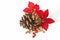 Pine Cone and Poinsettia