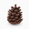 Pine cone. Realistic 3d object isolated on white. Christmas greeting card design template element. Pinecone vector icon, symbol,
