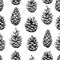Pine cone seamless pattern. Botanical hand drawn vector backgro