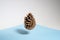 Pine cone soaring on a white and blue background