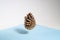 Pine cone soaring on a white and blue background