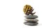 Pine cone on stones balancing on white background