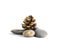 Pine cone on stones balancing on white background