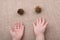 Pine cones beisde toddlers hands