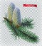 Pine cones christmas decoration. 3d realistic vector icon