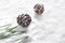 Pine cones decoration stain on snow background