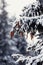 Pine cones with heavy layer of snow on top