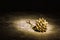 Pine cones and needles christmas still life