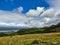 Pine covered foothills of Cader Idris