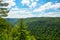 Pine Creek Gorge, the Grand Canyon of Pennsylvania.