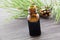 Pine essential oils and pine twigs, needles of plants for medicine, on wooden dark background