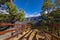 Pine forest at Caldera de Taburiente National Park. Viewpoint La Cumbrecita, La Palma, Canary Island, Spain