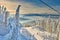 Pine forest covered in snow on winter season,Mountain landscape in Poiana Brasov, Transylvania,Romania