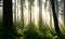 a pine forest, a dense thicket that begins to wake up in the early morning, Generative AI, Generative, AI