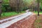 Pine forest with green leaves along forest. Walking hiking trail