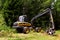 Pine forest harvesting machine at work during clearing of a plantation. Wheeled harvester sawing trees and clearing forests.Timber