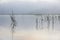 Pine forest island and shrubs refection on the lake at dawn with magic of the sky and clouds part 10