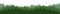 Pine forest. Silhouettes of coniferous trees. Wild landscape horizontally. Nice panoramic view. Beautifully illustration