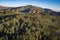 Pine Forest Wilderness in California