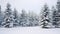 Pine forest in winter cowered with a thick white snow blanket and a star trail in the sky