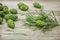 Pine fresh cones  and twig on a table in the garden