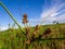 Pine Glades Natural Area in Florida Swamps