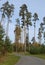 Pine grove in a country park with a winding asphalt road that goes deep into the forest, tall century-old trees and young pines