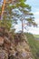 Pine grows on the edge of a rocky cliff.