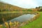 Pine Hill Lake Reflections