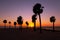 Pine Island florida, clear sunset silhouette