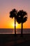 Pine Island florida, Palm tree sunset silhouette