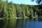 Pine Lake in early summer on Chuckanut mountain