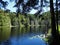 Pine Lake in early summer on Chuckanut mountain