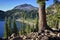 Pine, Lake Helen and Lassen Peak, Lassen Volcanic National Park