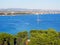 Pine landscape, Vodice, Croatia.