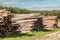 Pine logs in piles, blue sky, sunny spring day.