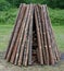 Pine logs are put in a pyramid for a traditional ritual pagan fire.