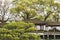 Pine and long colonnade in Duojing garden