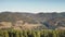 Pine mountain forest closeup aerial. Green fir trees. Autumn nature landscape. Nobody natural beauty