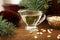 Pine nut oil and bowl of pine nuts on wooden background with cones, cedar brunches