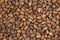 Pine nuts brown background